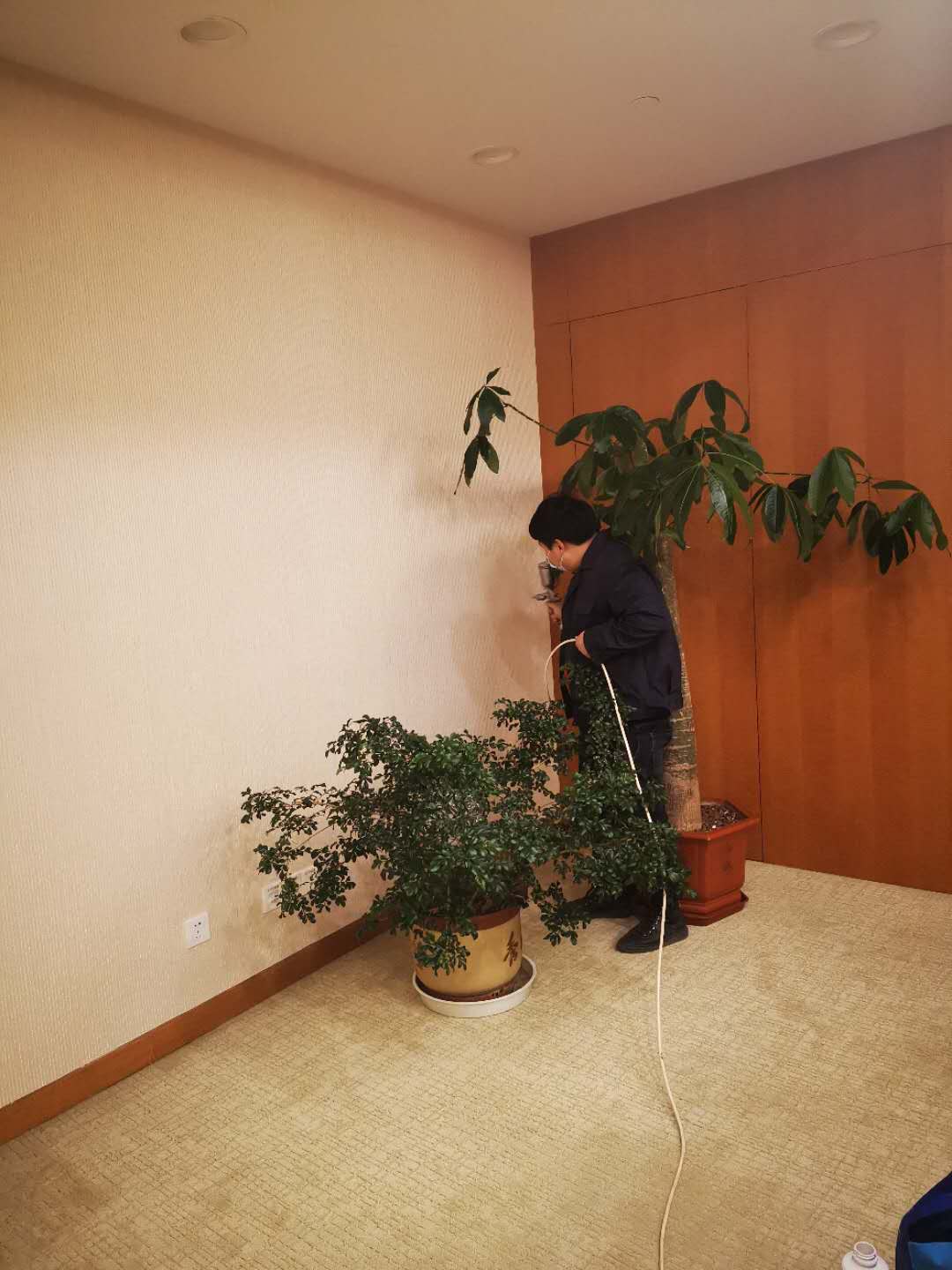 室內(nèi)除甲醛